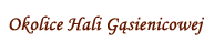Hala G�sienicowa