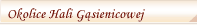 Hala G�sienicowa i okolice