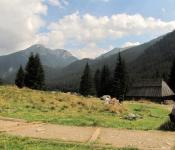 Chochołowska, w tle Kominiarski Wierch (1829 m.n.p.m.)