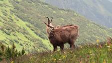 Tatry Bielskie